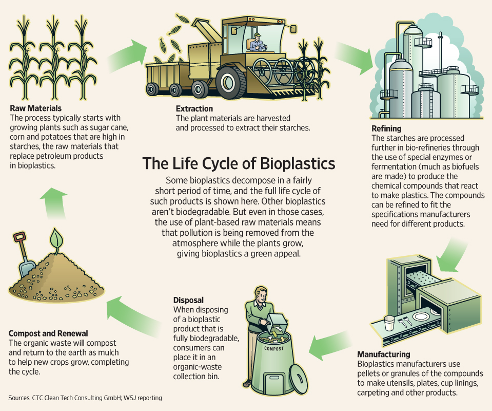 6a00d8341d7dc053ef0148c80425e9970c - Understanding bioplastics and reducing our plastic usage