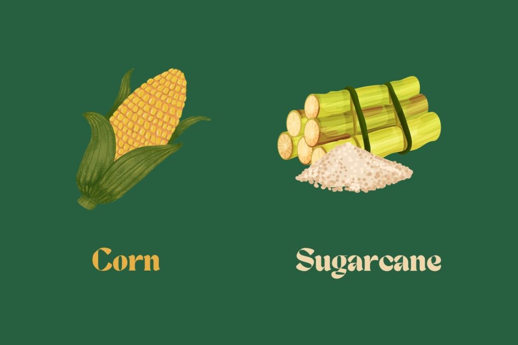 Corn Sugarcane Kumeia 1024x682 - Understanding bioplastics and reducing our plastic usage