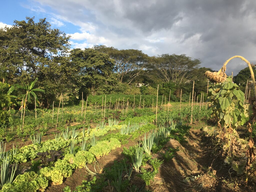 IMG 1388 1024x768 - Kumēia meets regenerative farming entrepreneur Paola Castegnaro