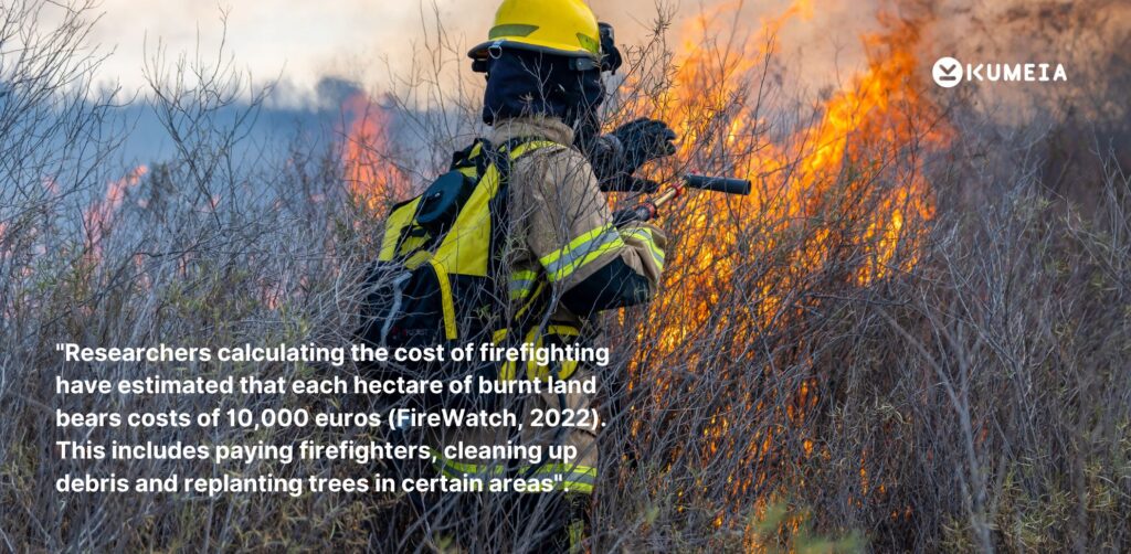 Kumeia Forest Wildfire Firefighter 1024x502 - How wildfires impact Europe’s economy and public health 