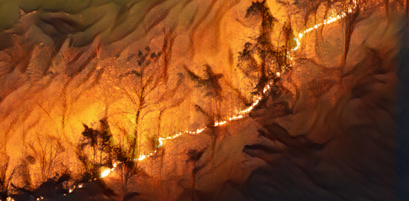 Kumeia Forest Wildfires 2022 1360x667 - How wildfires impact Europe’s economy and public health 